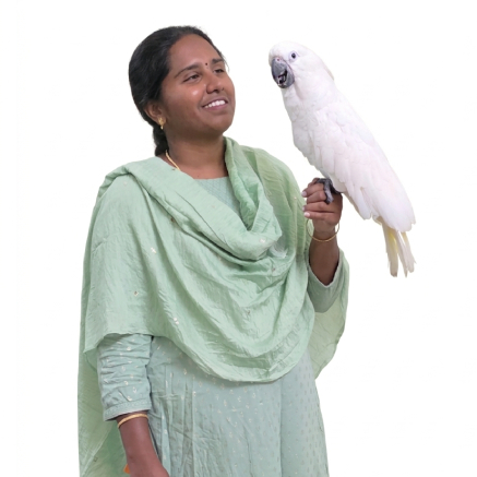 Pet Image